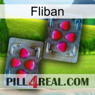 Fliban 15